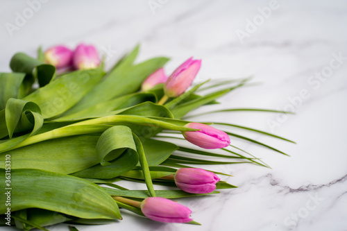 Fototapeta Naklejka Na Ścianę i Meble -  Spring flower pink tulips