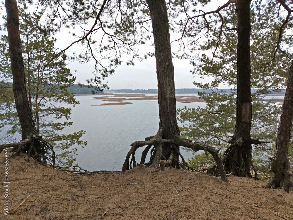 Fototapeta premium Soil Erosion by the lake.