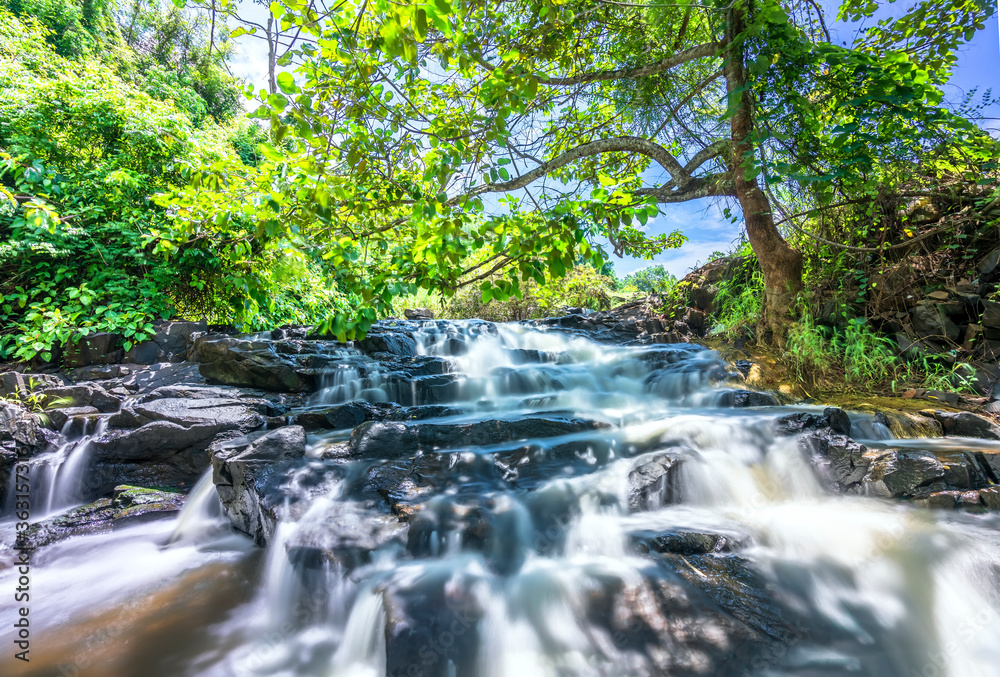Stream in the rainforest with soft flowing water like wool flowing through the cliff creates a peaceful landscape to relax soul and music