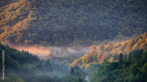 Fototapeta Naklejka Na Ścianę i Meble -  fog in the mountains