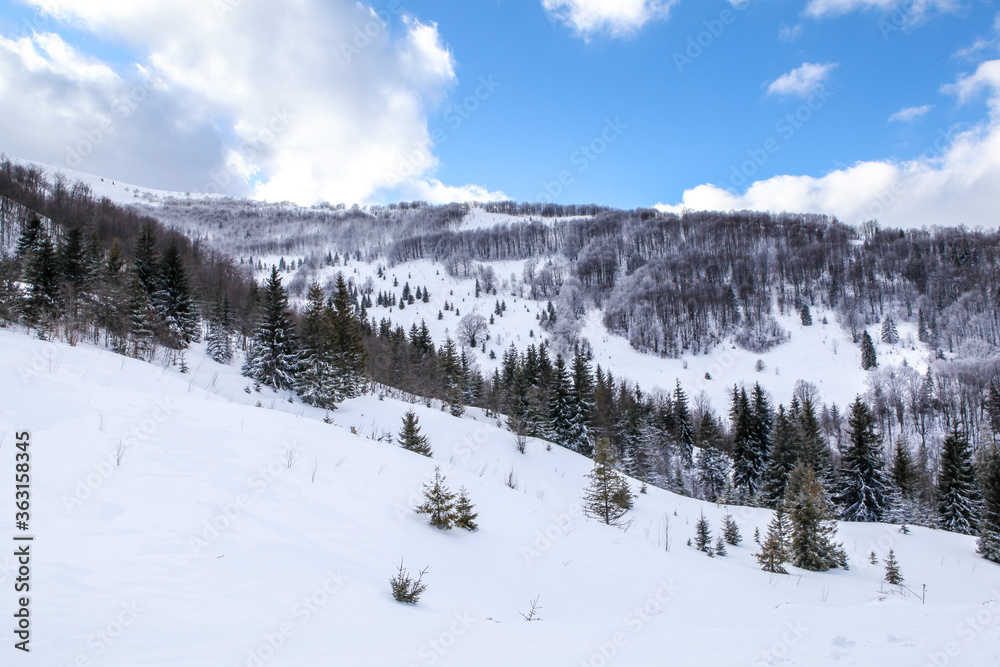 snow covered Carpathians mountains