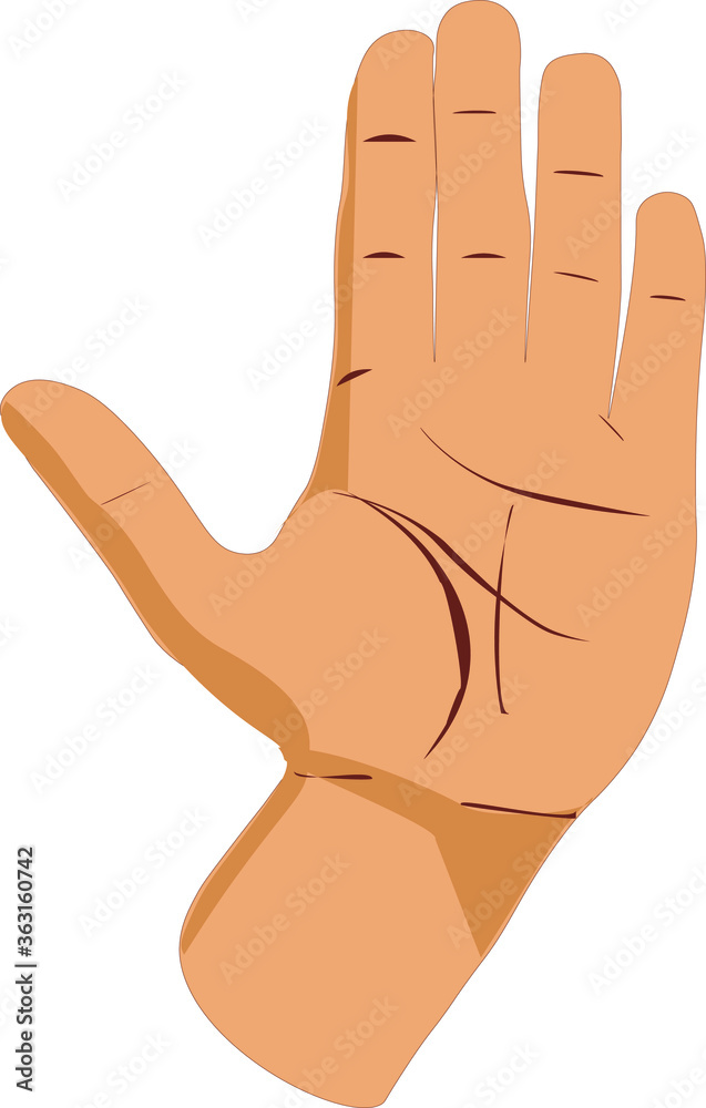 stop palm vector illustration stop palm vector illustration
