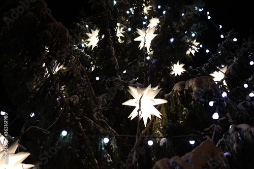 beautiful glowing stars on snowy tree. Winter magic