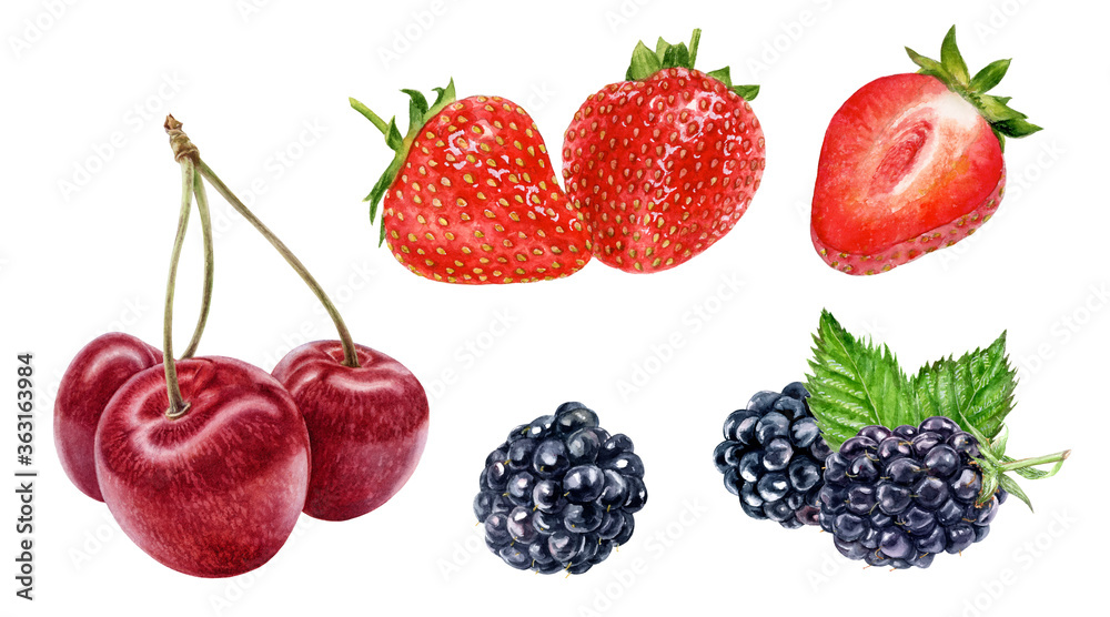 Sweet cherry blackberry strawberry watercolor illustration isolated on white background