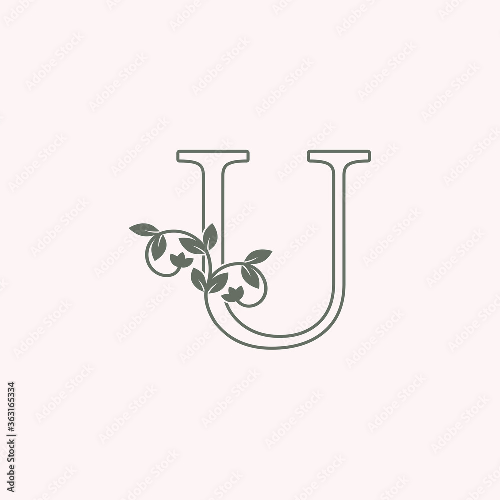 Nature U letter logo icon, antique ornate vector design Nature Floral Leaf Luxury concept for business. Nature U letter logo icon, antique ornate vector design Nature Floral Leaf Luxury concept for business.