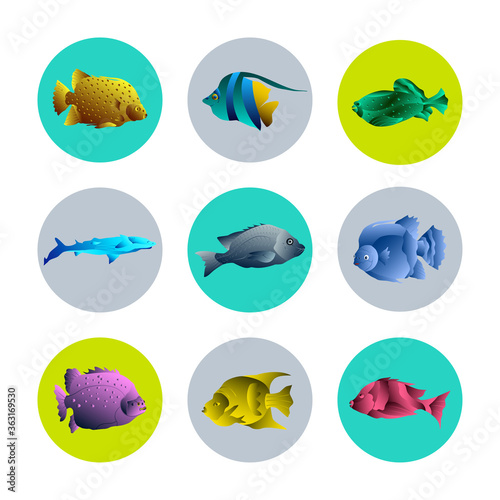 Fish Icons Set