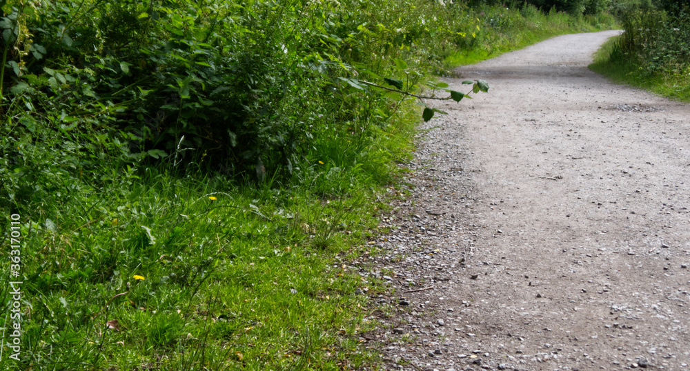 Well used clear country gravel track during summer Well used clear country gravel track during summer