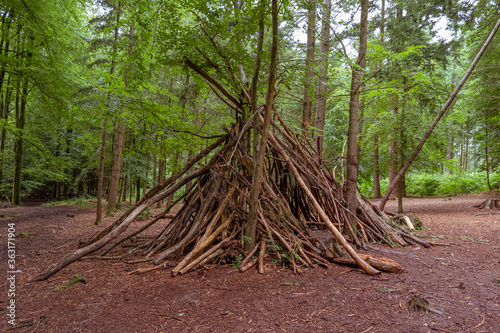 Tipi in the forest 