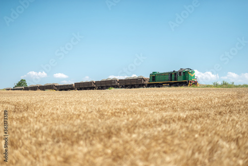 A train passes a wheat field
