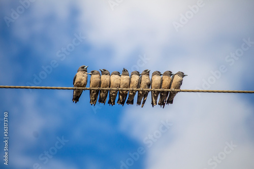 hanging on a wire