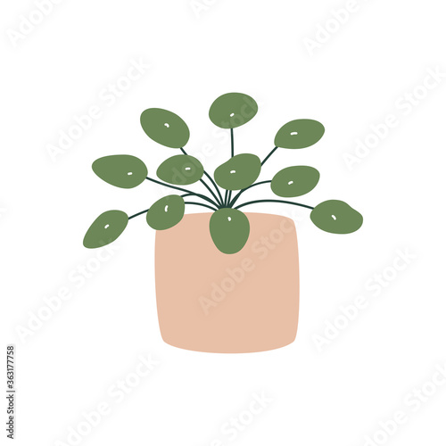 Pilea, Peperomia Ruby in pot. House indoor plants. Botanical, tropical. Home decor, taking care of house plant, growing potted plants at home concepts. Flat. Vector stock illustration