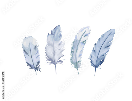 Fether realistic set. Vector isolated illustration on white background