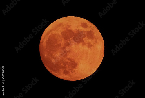 Fototapeta Naklejka Na Ścianę i Meble -  Full moon in the night sky
