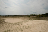 Sand dunes in Letea forest ,  in the Danube Delta area,  Romania,  in a sunny summer day