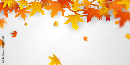 Autumn falling leaves background