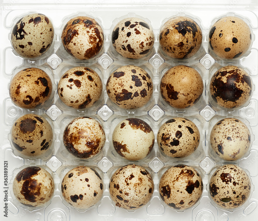 raw whole quail eggs in a plastic tray, top view