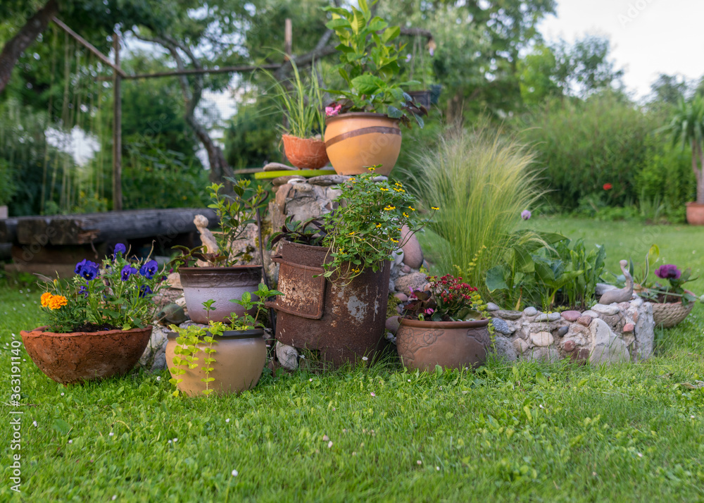 summer picture from the garden, decorative plants in flower pots, garden decor, summer garden