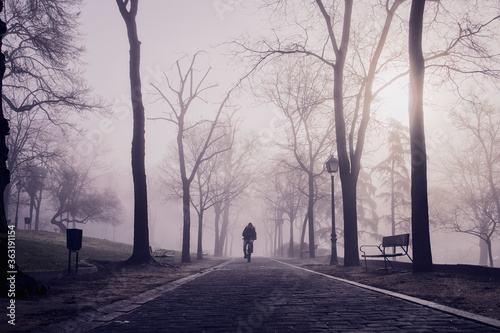 Man riding a bicycle through a mysterious park with dense fog