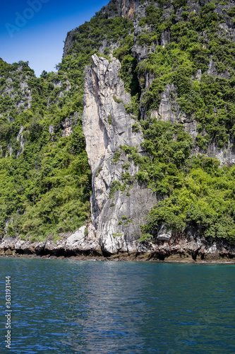 Eroded overgrown limestone rocks in Phang Nga Bay  Ao Phang Nga Marine National Park  Thailand 