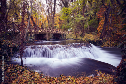 Fototapeta Naklejka Na Ścianę i Meble -  A waterfall in an autumnal forest
