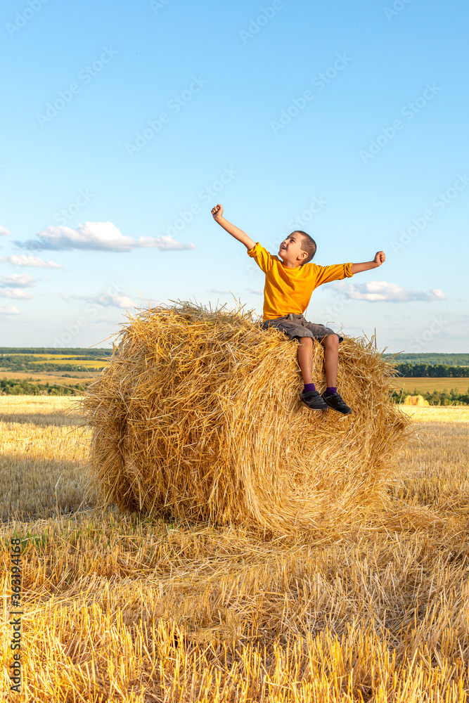 Young boy have fun sit on a haystack on a sunny day in the field. Young boy have fun sit on a haystack on a sunny day in the field.