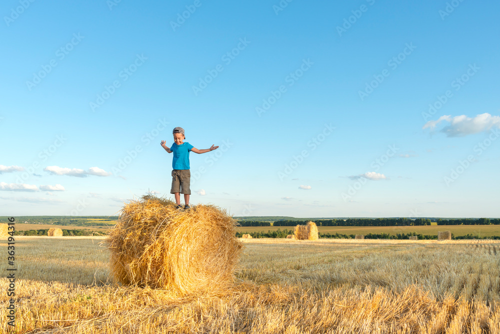 Little boy stands on a haystack on a sunny day in the field with hay bales after harvest. Little boy stands on a haystack on a sunny day in the field with hay bales after harvest.