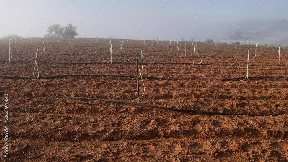 Plowed field is ready for sowing seeds in the countryside. Vegetables, organic farming. Agriculture and agribusiness Plowed field is ready for sowing seeds in the countryside. Vegetables, organic farming. Agriculture and agribusiness