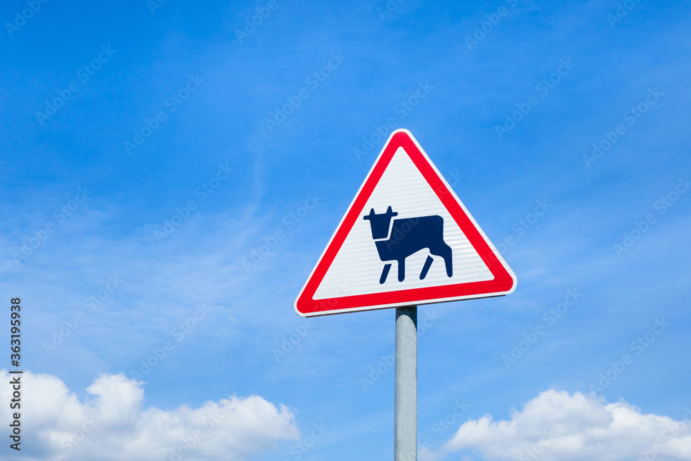 International traffic sign 'Cattle driving' on blue sky background International traffic sign 'Cattle driving' on blue sky background