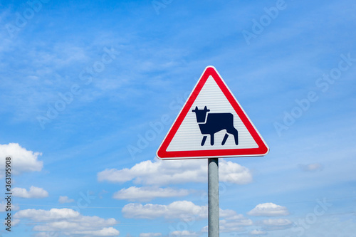 International traffic sign 'Cattle driving'. Blue sky with some clouds is on background