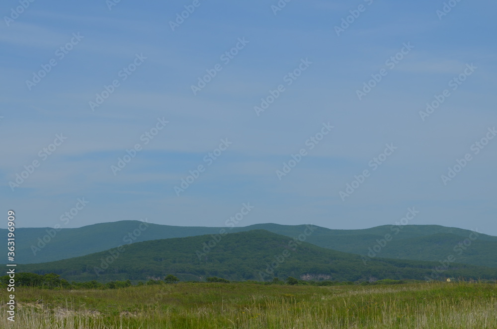 Fototapeta premium photo