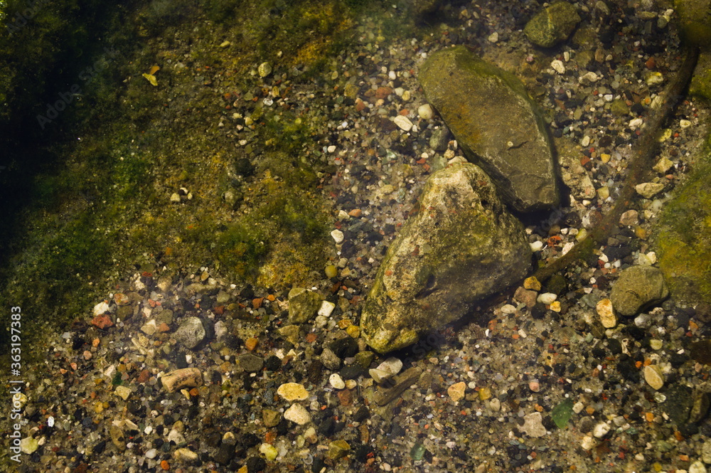 Stones in the river with the summer sun. Background, texture.