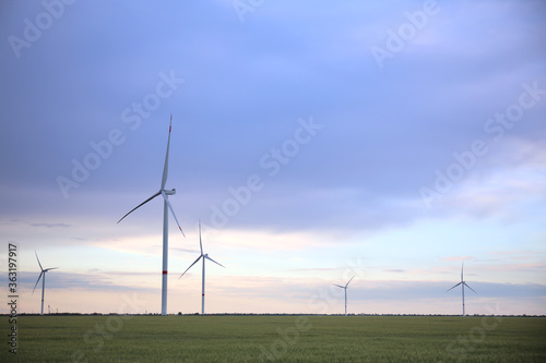 Beautiful view of field with wind turbines in evening. Alternative energy source