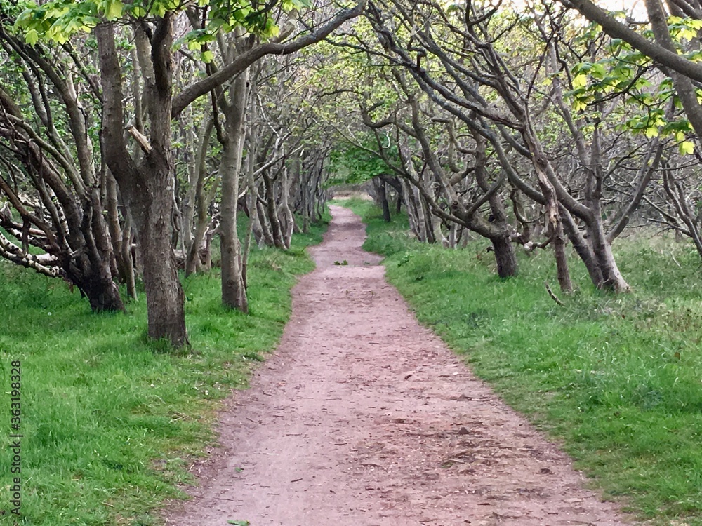 walk in the park