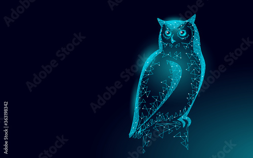 Owl bird symbol of wise education. E-learning distance concept. Graduate certificate program concept. Low poly 3D internet education course degree vector illustration