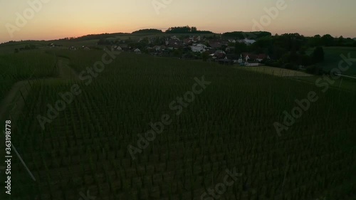 Aerial view, Moving forward shot, approaching the town of Holledau in Bavaria, Gemarny, Scenic view of Hop crops and Sunset in the background. photo