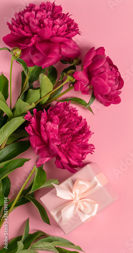 Burgundy peony beautiful flowers gift with satin ribbon close-up on a pink background. Floral natural background.
