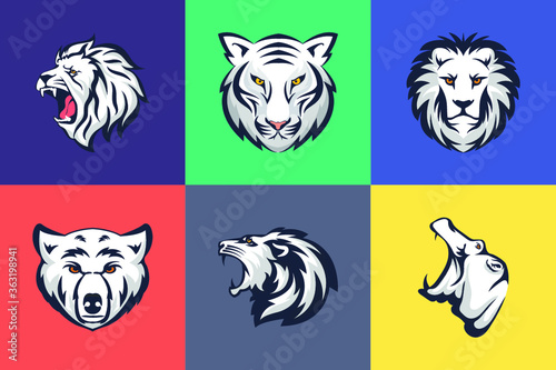 Animals and Birds Colored Illustrations 3