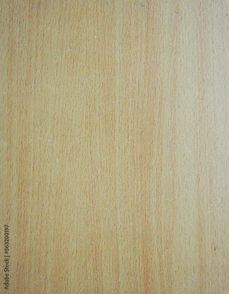 top view wooden wall material burr surface texture background Pattern brown color top view wooden wall material burr surface texture background Pattern brown color