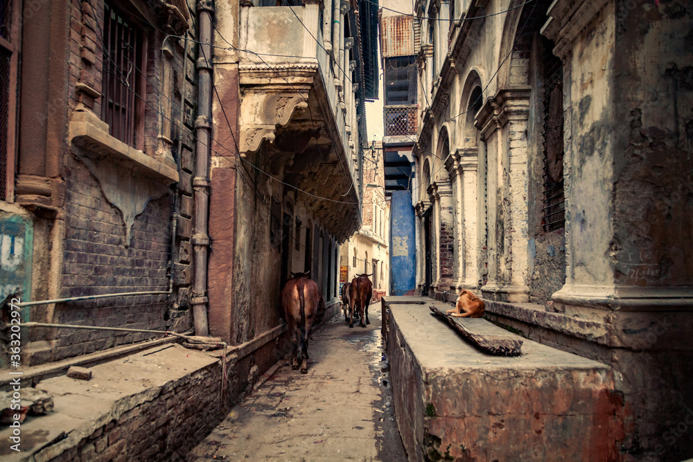 Street of Old City, Varanasi, India