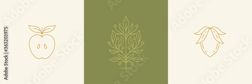 Vector line decoration design elements set - branch and leaves with apple hands illustrations simple linear style