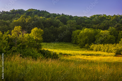 Beautiful summer landscape bank of the creek with reeds in orange sunset