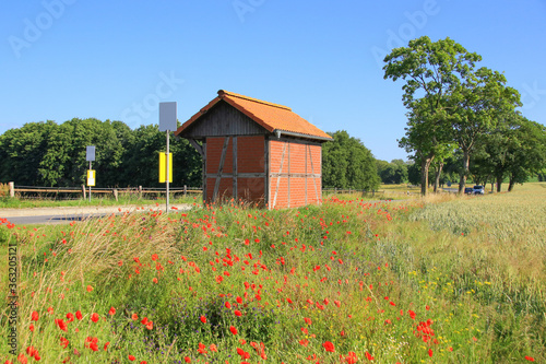 Bus stop in the district of Rostock on baltic sea, Mecklenburg Western Pomerania, Germany © Ina Meer Sommer