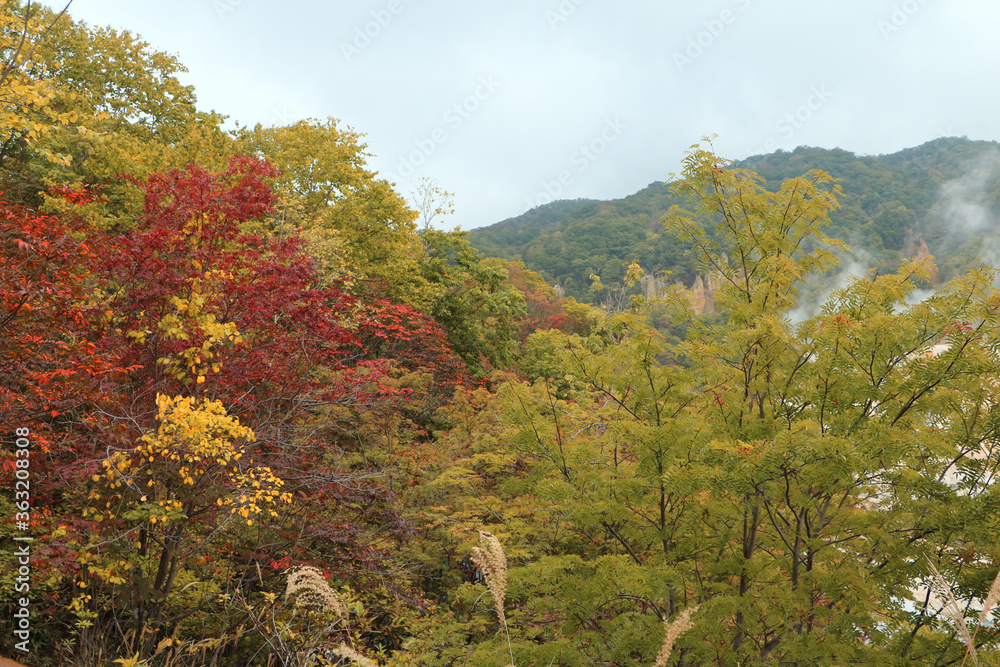 HOKKAIDO JAPAN OCTOBER 3 2019 Jigokudani Hell Valley steamy natural onsen hot spring Noboribetsu, Autumn season Hokkaido, Japan-2