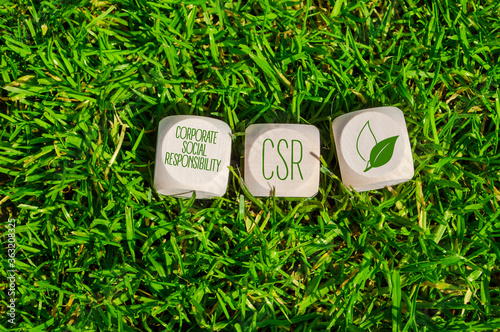 Cubes or dice with acronym CSR Corporate Social Responsibility in green grass photo