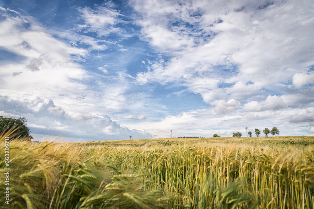 Cumulus und Landwirtschaft Cumulus und Landwirtschaft