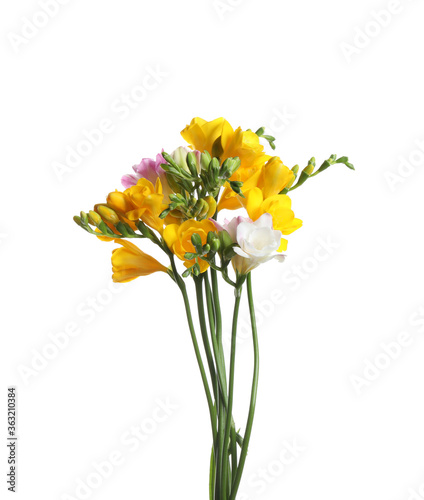 Beautiful colorful freesia flowers on white background