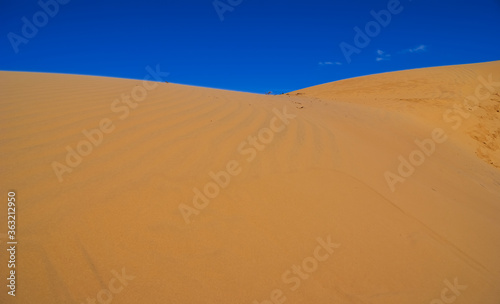 closeup summer sandy desert dune on a blue sky background