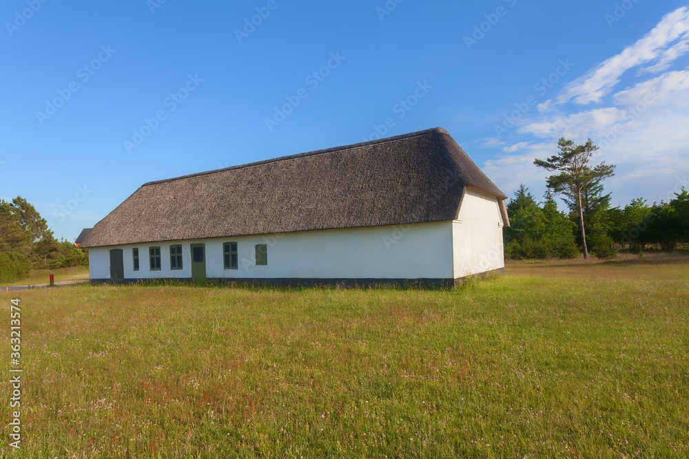 Obraz premium white painted traditional rural house with natural reed roof but fake windows and doors for army training in the nature park Vesterhavet (Denmark) surrounded by a meadow on a sunny summer afternoon