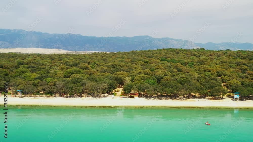 Adriatic seascape shore in Croatia, Pag island, pine woods and long beach from sea Adriatic seascape shore in Croatia, Pag island, pine woods and long beach from sea