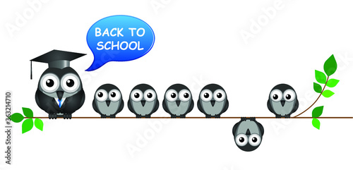 Comical back to school message with teacher and students sat on a branch isolated on white background